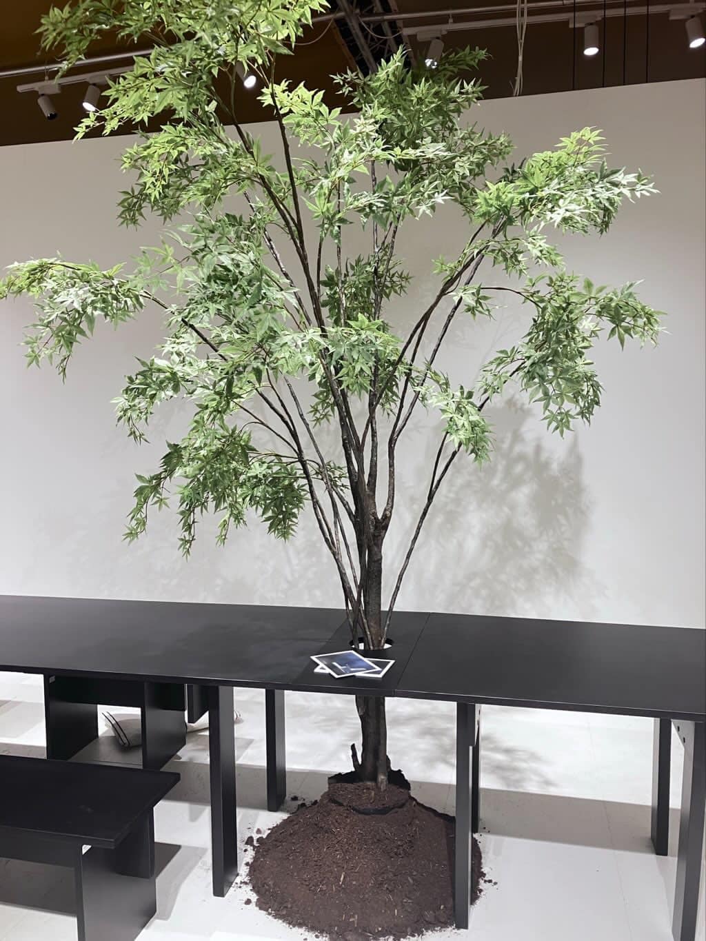 Opleiding interieurstylist syntra